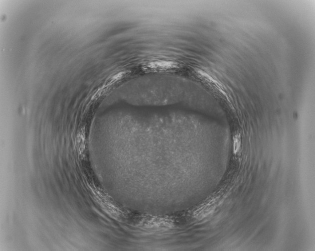 X0000087061011200704251024