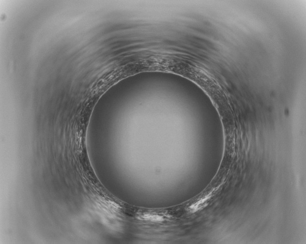 X0000087061013200704251024