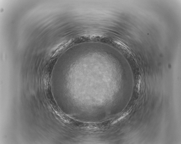 X0000087061014200704251024