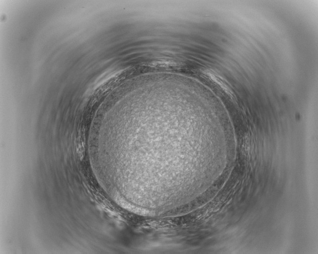 X0000087061015200704251024