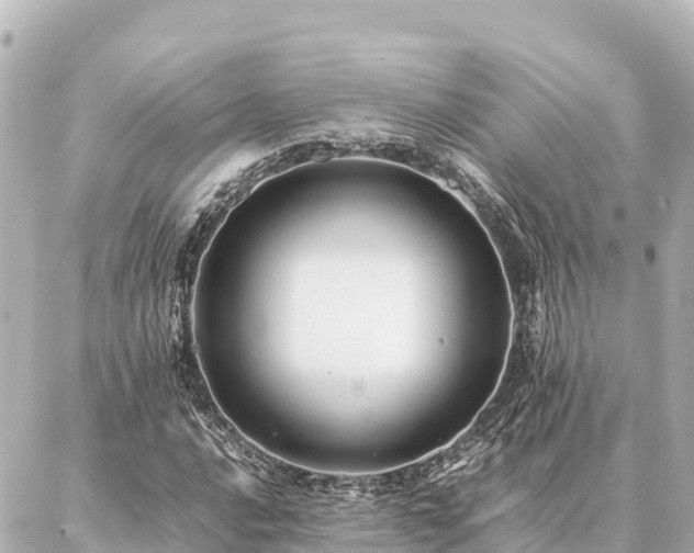 X0000087061016200704251024