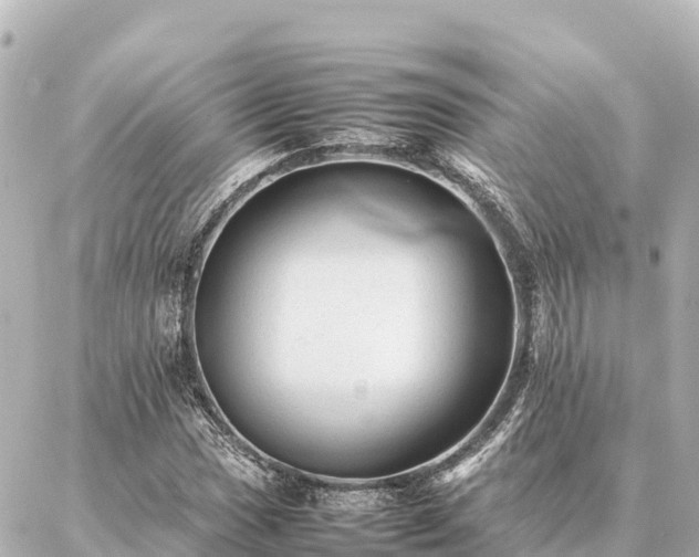 X0000087061017200704251024