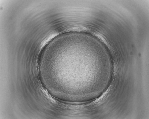 X0000087061018200704251024