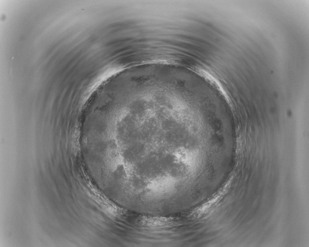 X0000087061019200704251024