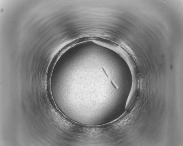 X0000087061020200704251024