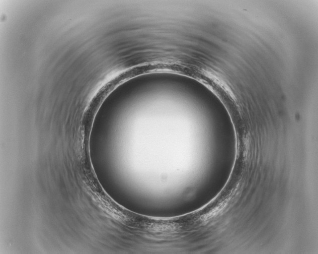 X0000087061021200704251024