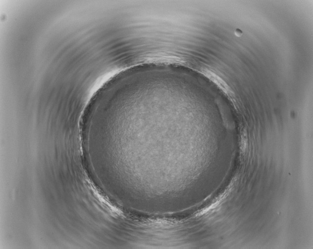 X0000087061022200704251024