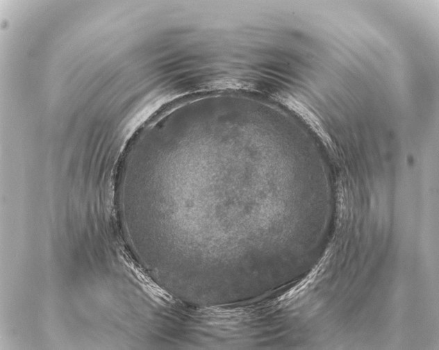 X0000087061023200704251024