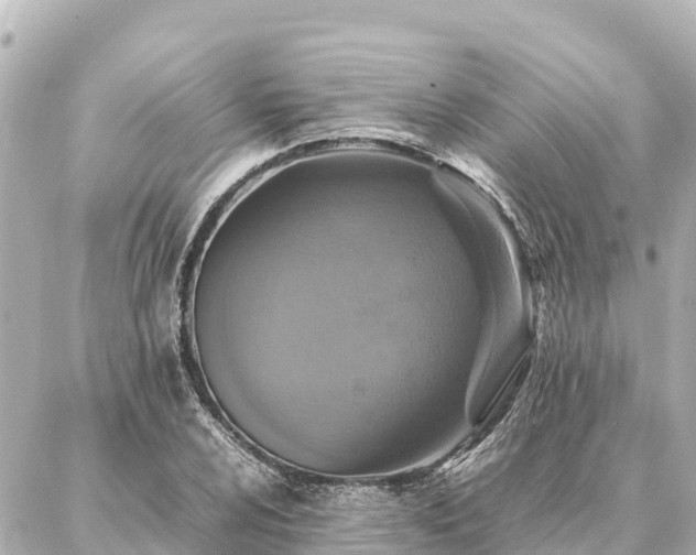 X0000087061024200704251024