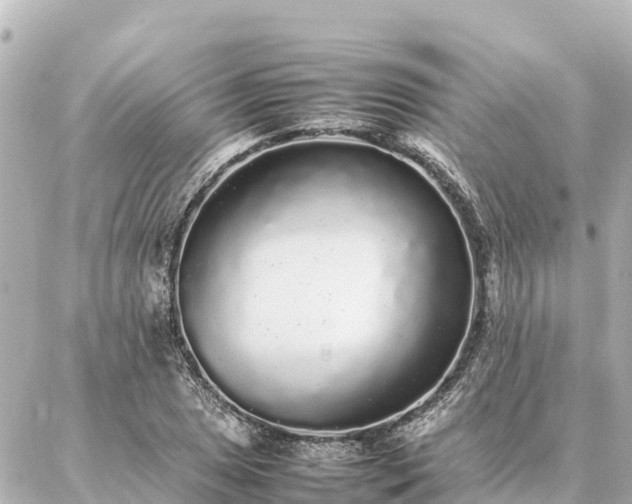 X0000087061025200704251024