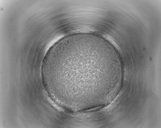 X0000087061026200704251024