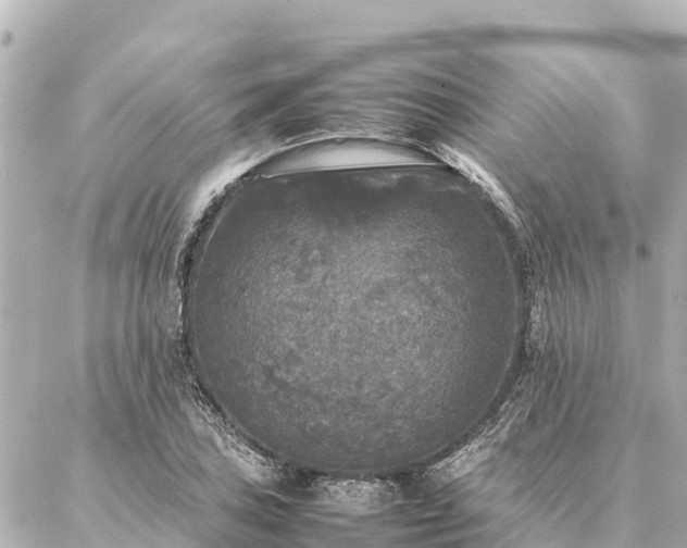 X0000087061027200704251024