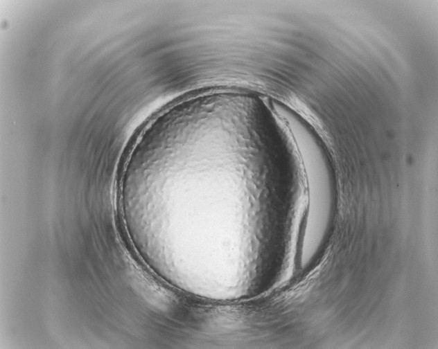 X0000087061028200704251024