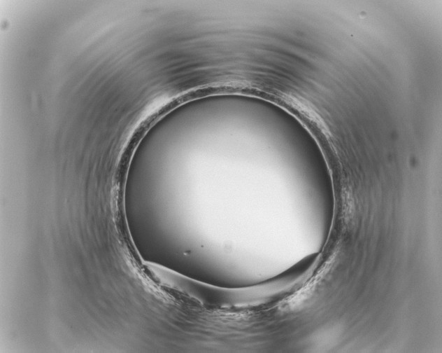 X0000087061029200704251024