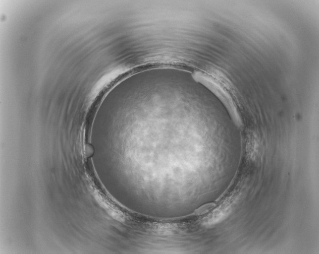 X0000087061030200704251024