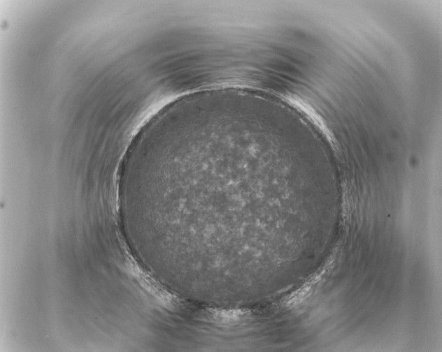 X0000087061031200704251024