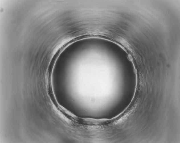 X0000087061032200704251024