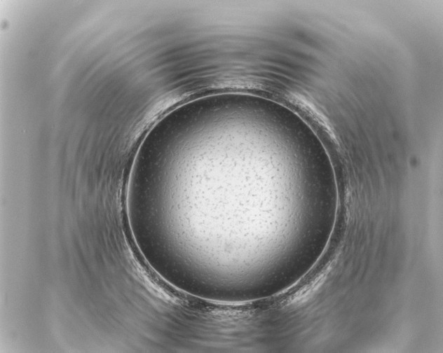 X0000087061033200704251024