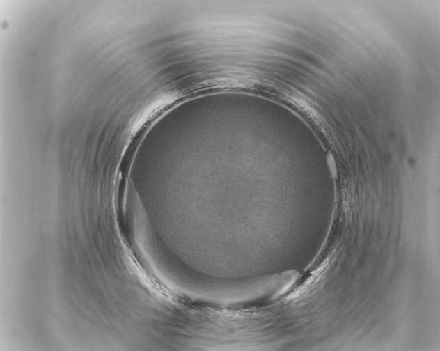 X0000087061034200704251024