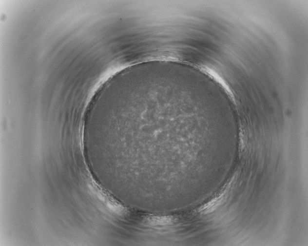 X0000087061035200704251024