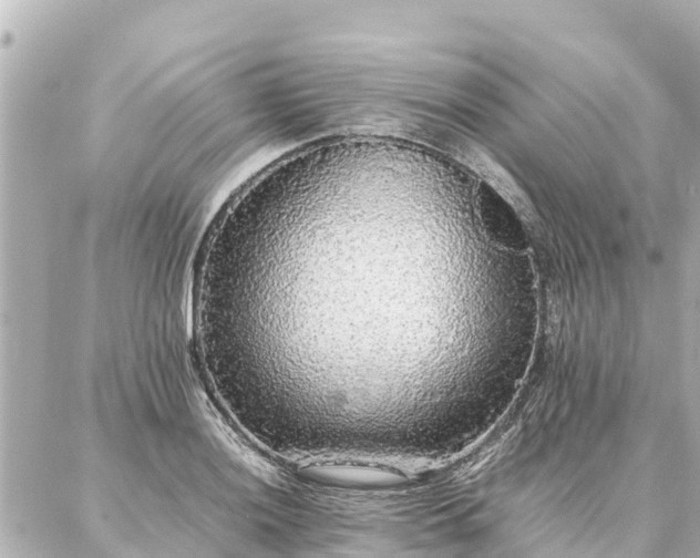 X0000087061036200704251024