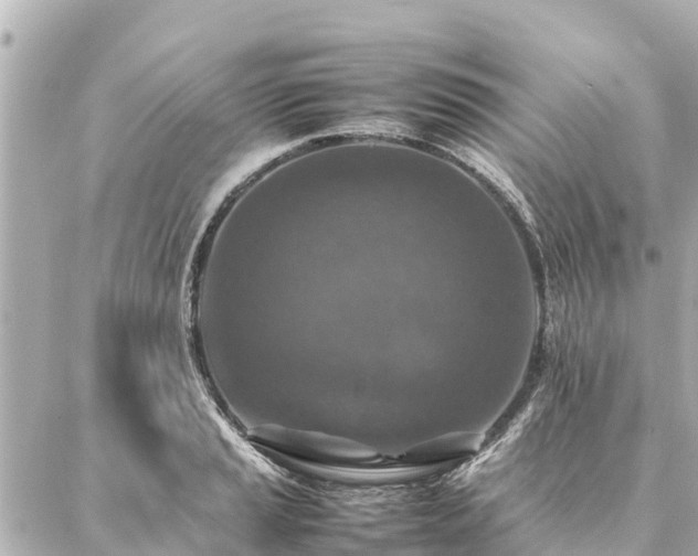 X0000087061037200704251024