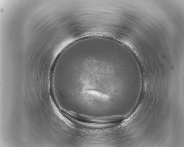 X0000087061038200704251024