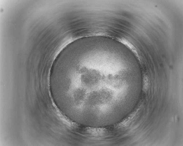 X0000087061039200704251024