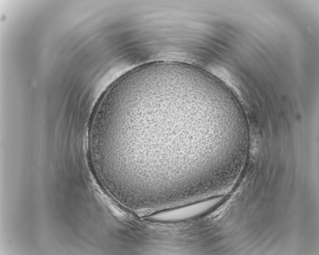 X0000087061040200704251024