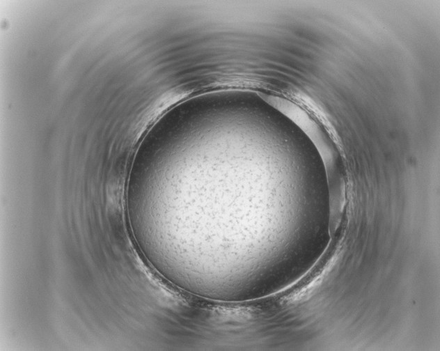 X0000087061041200704251024