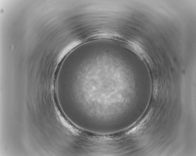 X0000087061042200704251024