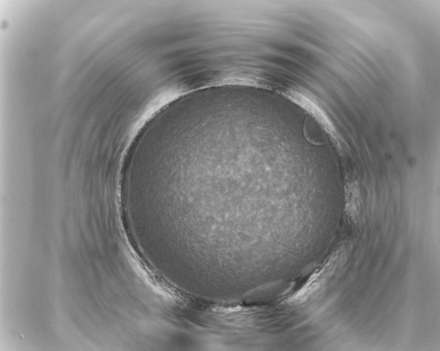 X0000087061043200704251024