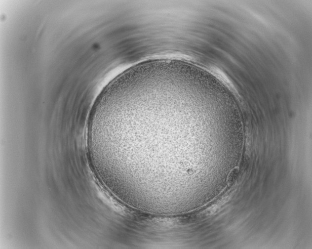 X0000087061044200704251024