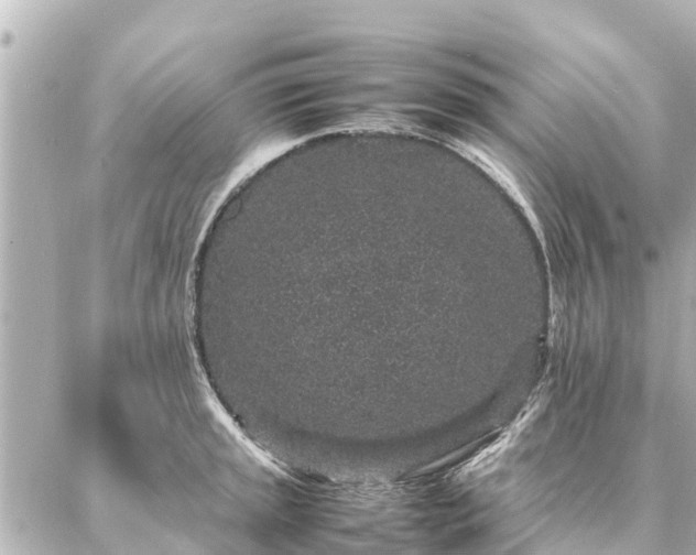 X0000087061045200704251024