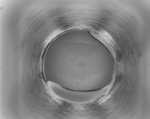 X0000087061046200704251024