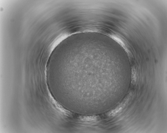 X0000087061047200704251024