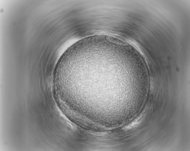 X0000087061048200704251024