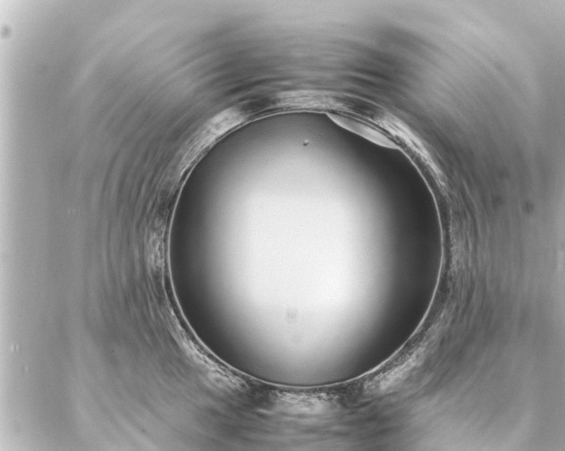 X0000087061049200704251024