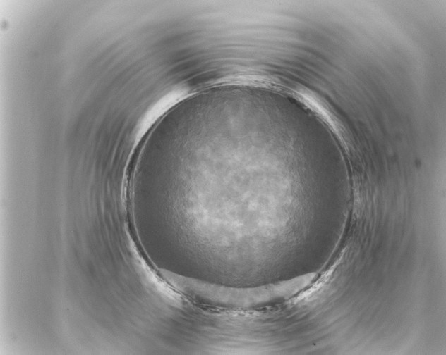 X0000087061050200704251024