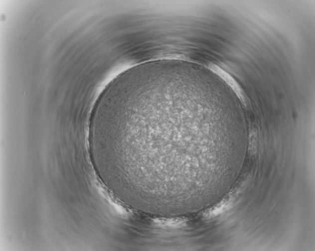 X0000087061051200704251024