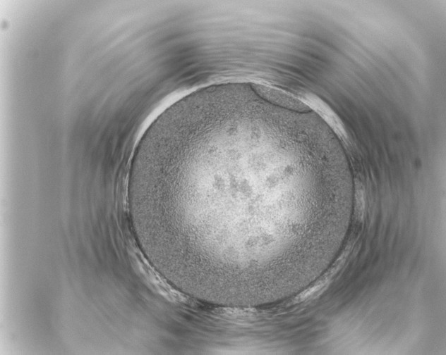 X0000087061052200704251024