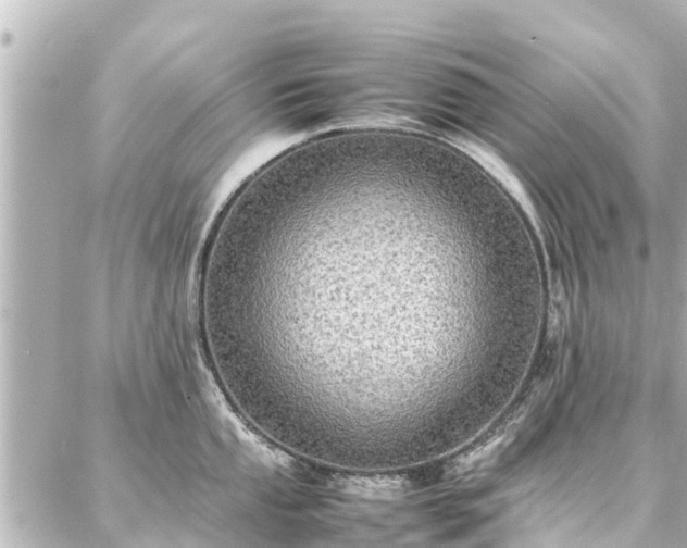 X0000087061053200704251024