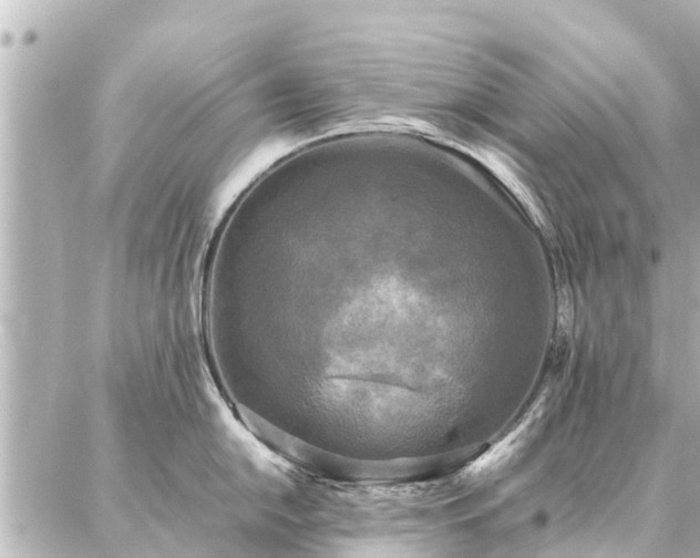 X0000087061054200704251024