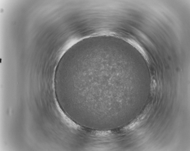 X0000087061055200704251024