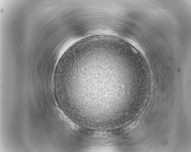 X0000087061056200704251024