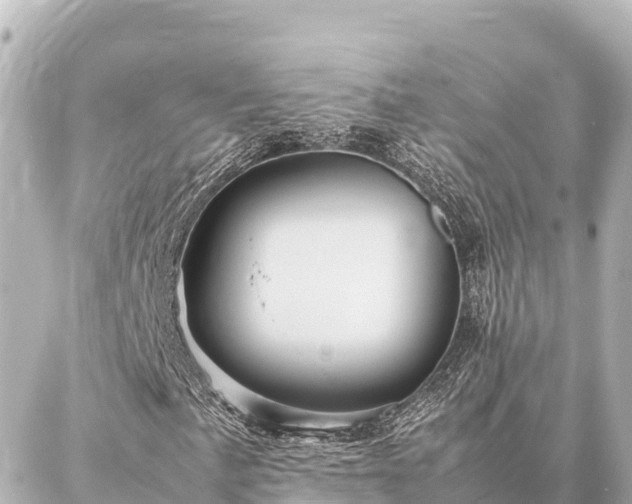 X0000087061057200704251023