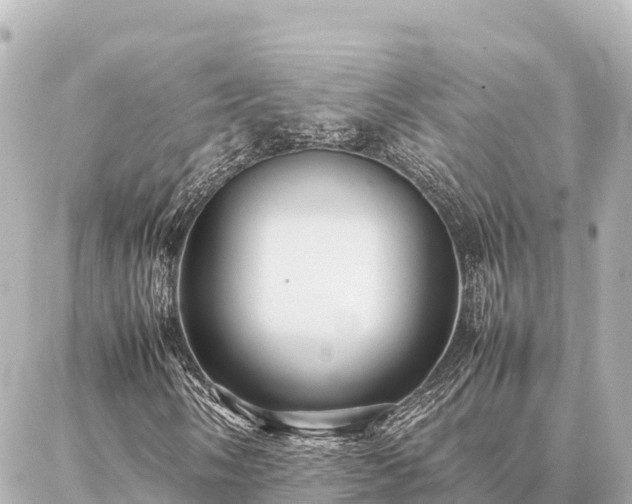 X0000087061058200704251023