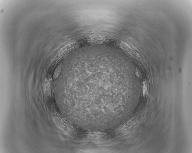 X0000087061059200704251023