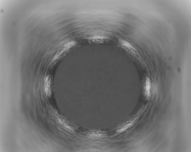 X0000087061060200704251023