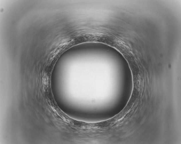 X0000087061061200704251023